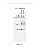 FACTOR VIII POLYMER CONJUGATES diagram and image