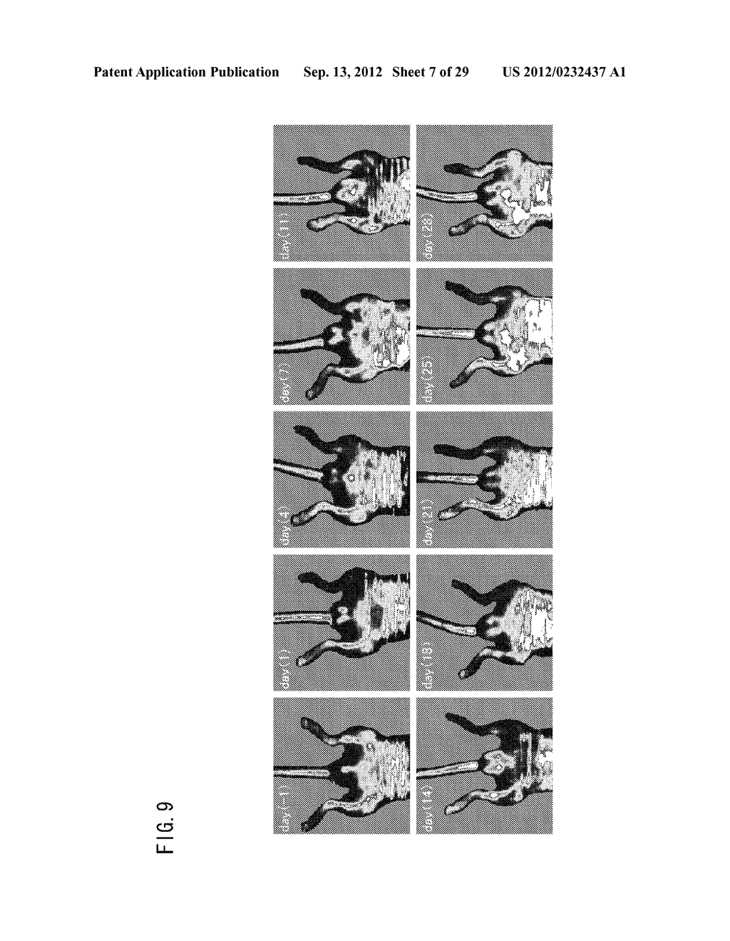 DEVICE FOR MODULATING PGC-1 EXPRESSION, AND TREATING DEVICE AND TREATING     METHOD FOR ISCHEMIC DISEASE - diagram, schematic, and image 08