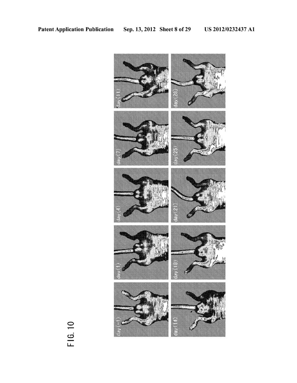 DEVICE FOR MODULATING PGC-1 EXPRESSION, AND TREATING DEVICE AND TREATING     METHOD FOR ISCHEMIC DISEASE - diagram, schematic, and image 09