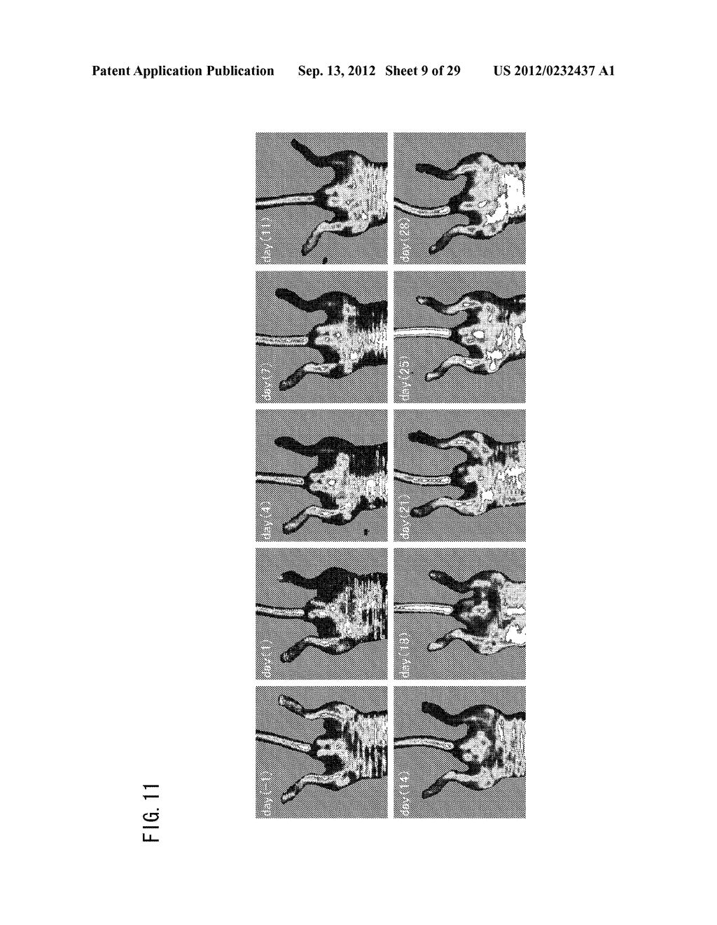 DEVICE FOR MODULATING PGC-1 EXPRESSION, AND TREATING DEVICE AND TREATING     METHOD FOR ISCHEMIC DISEASE - diagram, schematic, and image 10