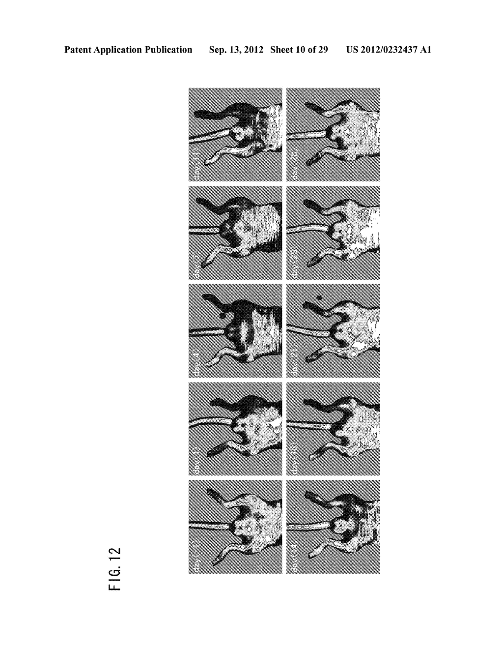 DEVICE FOR MODULATING PGC-1 EXPRESSION, AND TREATING DEVICE AND TREATING     METHOD FOR ISCHEMIC DISEASE - diagram, schematic, and image 11