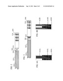 MULTI-ELECTRODE LEADS FOR BRAIN IMPLANTATION diagram and image