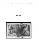 ORGANIC LIGHT EMITTING DIODE DISPLAY diagram and image