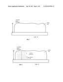 Viewing Three Dimensional Digital Slides diagram and image