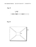 STEREOSCOPIC IMAGE DISPLAY CONTROL APPARATUS AND METHOD OF CONTROLLING     OPERATION OF SAME diagram and image