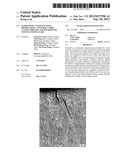 Martensitic Stainless Steel Produced by a Twin Roll Strip Casting Process     and Method for Manufacturing Same diagram and image