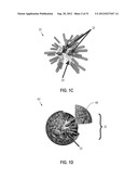 STAR POLYMER NANOSHELLS AND METHODS OF PREPARATION THEREOF diagram and image