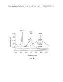 STAR POLYMER NANOSHELLS AND METHODS OF PREPARATION THEREOF diagram and image