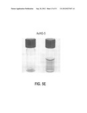 STAR POLYMER NANOSHELLS AND METHODS OF PREPARATION THEREOF diagram and image