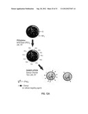 STAR POLYMER NANOSHELLS AND METHODS OF PREPARATION THEREOF diagram and image