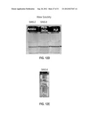 STAR POLYMER NANOSHELLS AND METHODS OF PREPARATION THEREOF diagram and image