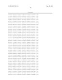 Incorporation of the B18R gene to enhance antitumor effect of virotherapy diagram and image