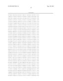 Incorporation of the B18R gene to enhance antitumor effect of virotherapy diagram and image