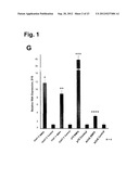 Generation of Functional Basal Forebrain Cholinergic Neurons From Stem     Cells diagram and image