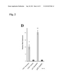 Generation of Functional Basal Forebrain Cholinergic Neurons From Stem     Cells diagram and image