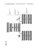 Generation of Functional Basal Forebrain Cholinergic Neurons From Stem     Cells diagram and image