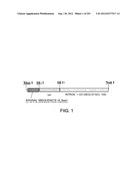 Antibody Substituting for Function of Blood Coagulation Factor VIII diagram and image