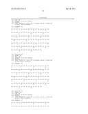 Human Tissue Factor Antibody and Uses Thereof diagram and image