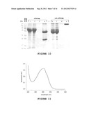 DIAGNOSTIC ANTIBODY ASSAY diagram and image