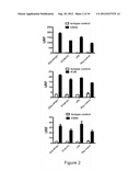 Therapeutic Compositions For The Treatment of HPV-Induced Diseases diagram and image