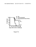 Therapeutic Compositions For The Treatment of HPV-Induced Diseases diagram and image