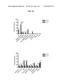 METHODS FOR PRODUCING AN IMMUNE RESPONSE TO TUBERCULOSIS diagram and image