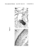 MODULATING LYMPHATIC FUNCTION diagram and image