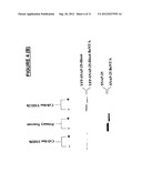 METHODS FOR IDENTIFYING INHIBITORS OF BOTULINUM NEUROTOXINS diagram and image