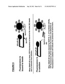 METHODS FOR IDENTIFYING INHIBITORS OF BOTULINUM NEUROTOXINS diagram and image