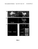 LUMINOGEN COMPOUNDS AND THE USE OF THE SAME FOR BIOSENSING AND CELLULAR     IMAGING diagram and image