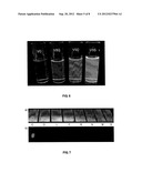 LUMINOGEN COMPOUNDS AND THE USE OF THE SAME FOR BIOSENSING AND CELLULAR     IMAGING diagram and image