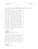 PRODUCTION OF GLYCOPROTEINS WITH REDUCED O-GLYCOSYLATION diagram and image