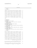 PRODUCTION OF GLYCOPROTEINS WITH REDUCED O-GLYCOSYLATION diagram and image