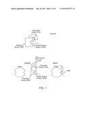 Activatable Binding Polypeptides and Methods of Identification and Use     Thereof diagram and image