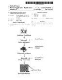 Megakaryocyte and Platelet Production from Stem Cells diagram and image