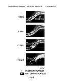 Novel Method for Producing Differentiated Cells diagram and image