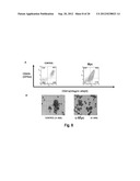 Novel Method for Producing Differentiated Cells diagram and image