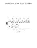 Novel Method for Producing Differentiated Cells diagram and image