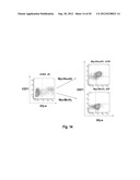 Novel Method for Producing Differentiated Cells diagram and image