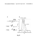 Novel Method for Producing Differentiated Cells diagram and image