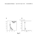 Novel Method for Producing Differentiated Cells diagram and image