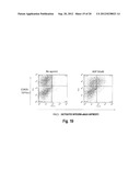 Novel Method for Producing Differentiated Cells diagram and image