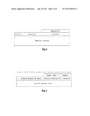ENABLING SIMULTANEOUS USE OF HOME NETWORK AND FOREIGN NETWORK BY A     MULTIHOMED MOBILE NODE diagram and image