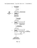 Multiplexed Assay Using Encoded Solid Support Matrices diagram and image