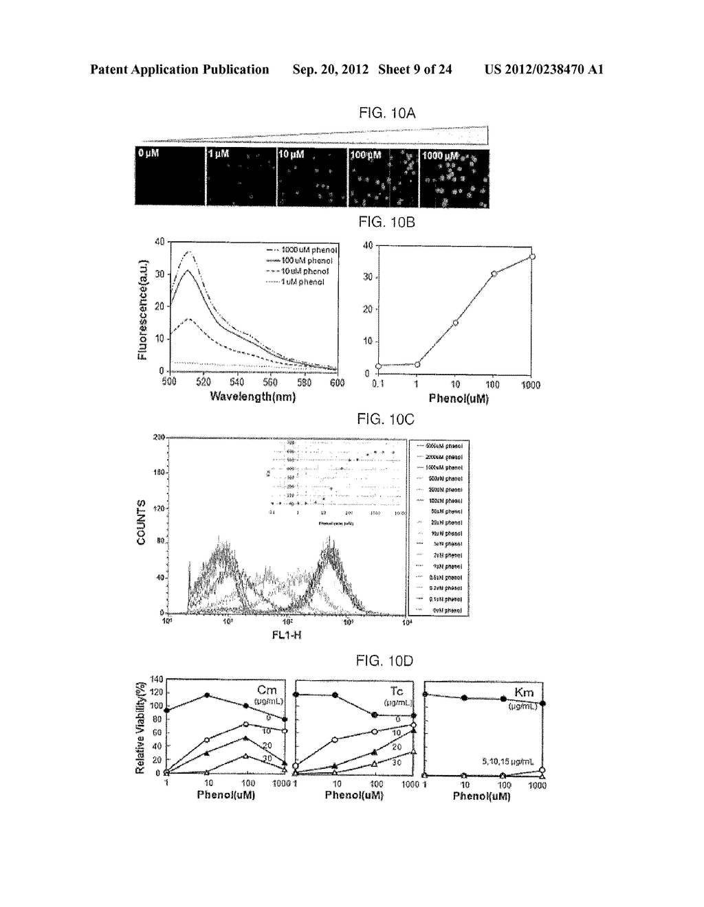 METHOD FOR SCREENING AND QUANTIFYING VARIOUS ENZYME ACTIVITIES USING A     GENETIC ENZYME SCREENING SYSTEM - diagram, schematic, and image 10