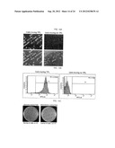 METHOD FOR SCREENING AND QUANTIFYING VARIOUS ENZYME ACTIVITIES USING A     GENETIC ENZYME SCREENING SYSTEM diagram and image