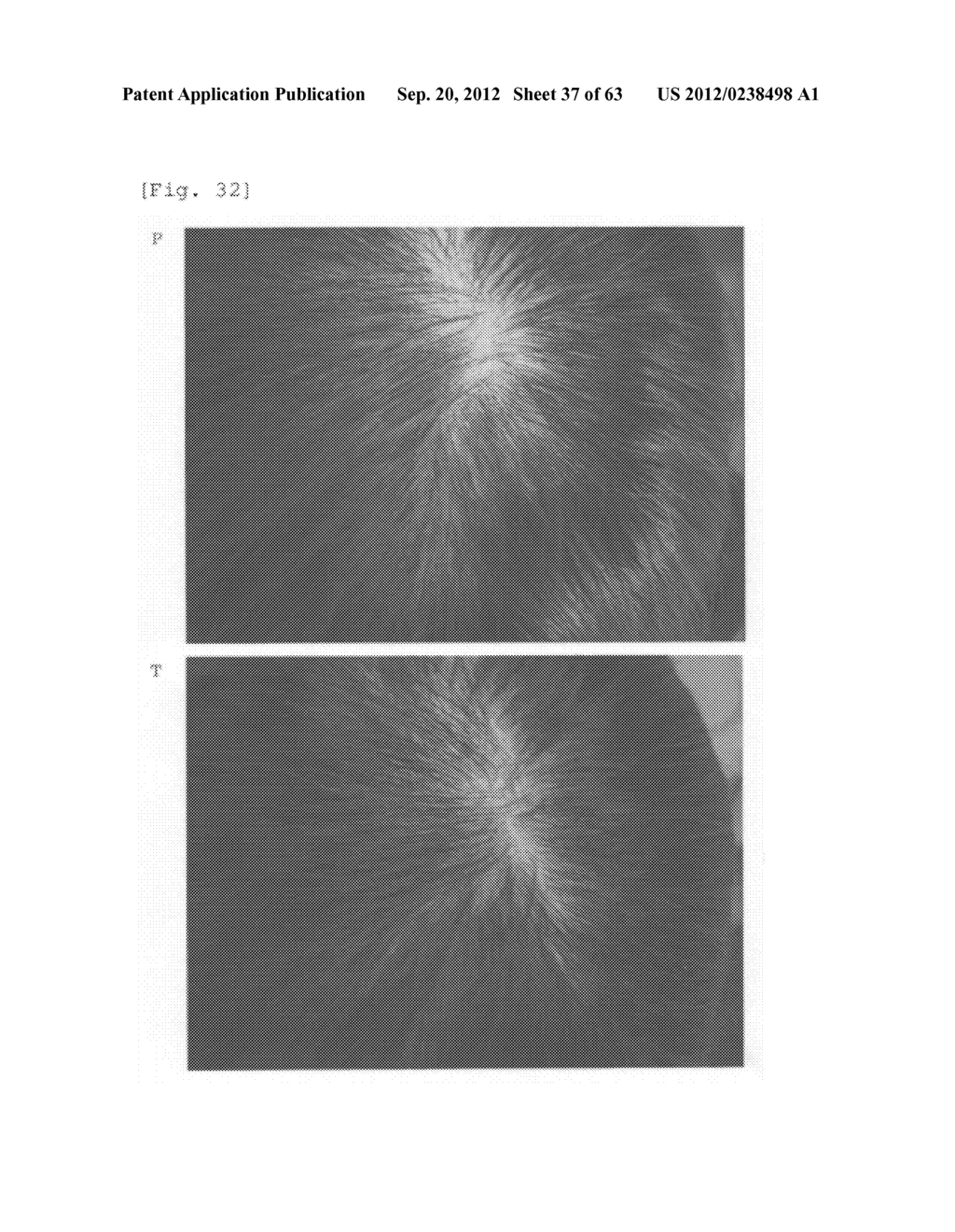 Agent for the treatment of alopecia - diagram, schematic, and image 38