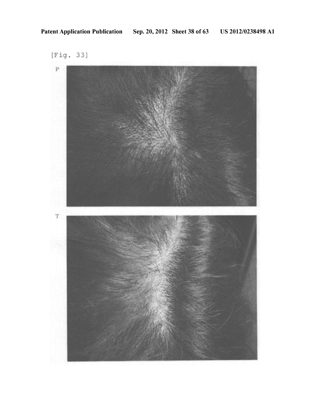 Agent for the treatment of alopecia - diagram, schematic, and image 39