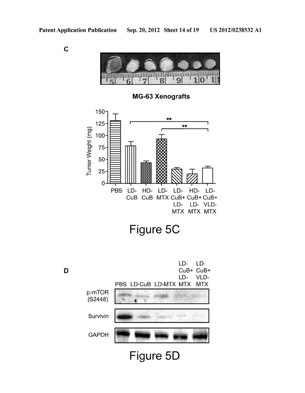 TREATMENT OF HUMAN OSTEOSARCOMA - diagram, schematic, and image 15