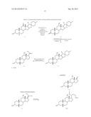 SYNTHETIC BILE ACID COMPOSITIONS AND METHODS diagram and image